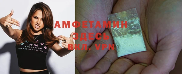 гидра Гусиноозёрск