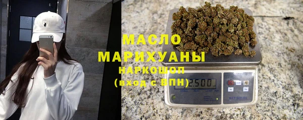 гидра Гусиноозёрск