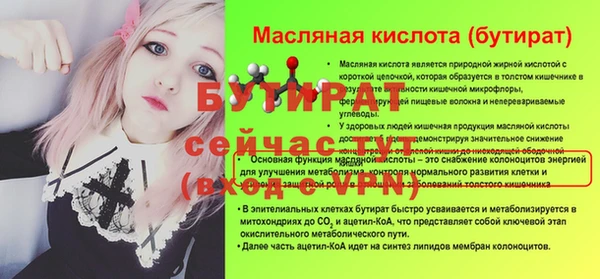 гидра Гусиноозёрск