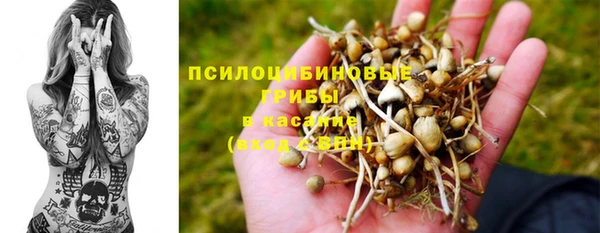 гидра Гусиноозёрск
