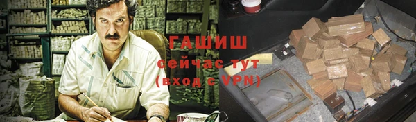 гидра Гусиноозёрск