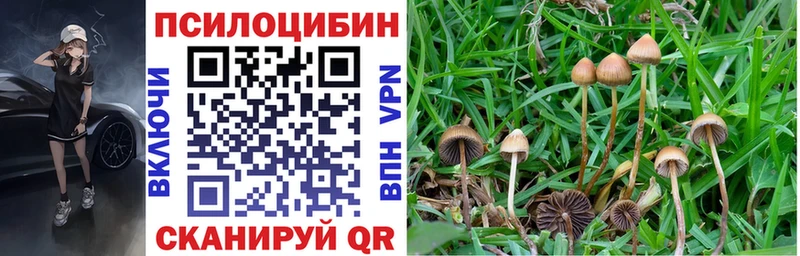 Галлюциногенные грибы Psilocybe  Ермолино 